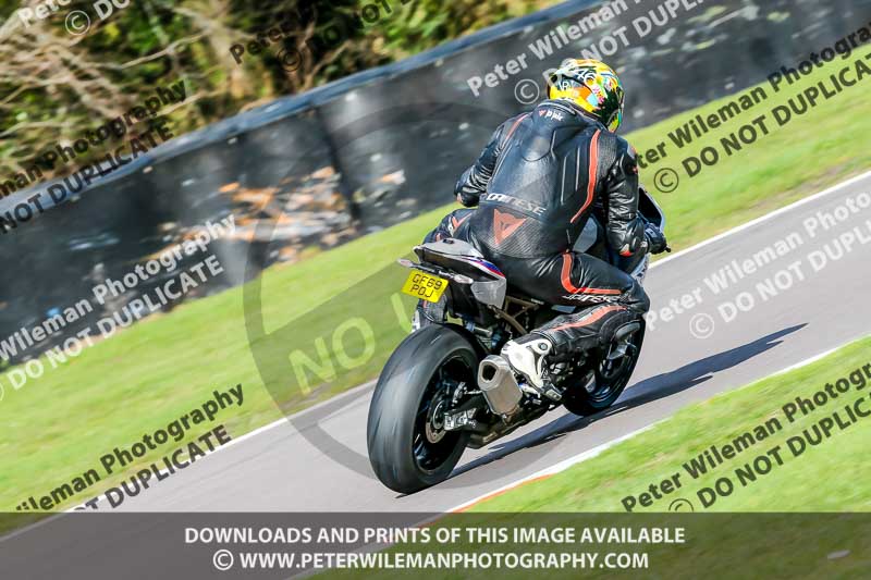 Oulton Park 20th March 2020;PJ Motorsport Photography 2020;anglesey;brands hatch;cadwell park;croft;donington park;enduro digital images;event digital images;eventdigitalimages;mallory;no limits;oulton park;peter wileman photography;racing digital images;silverstone;snetterton;trackday digital images;trackday photos;vmcc banbury run;welsh 2 day enduro